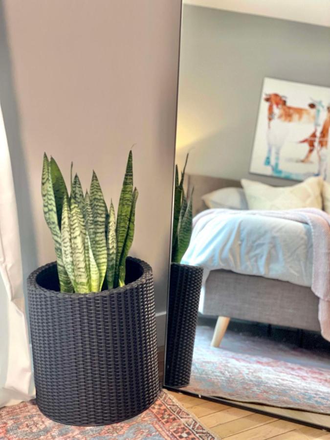 2Br In Heart Of Queen Village - Walk To Everything! Φιλαδέλφεια Εξωτερικό φωτογραφία